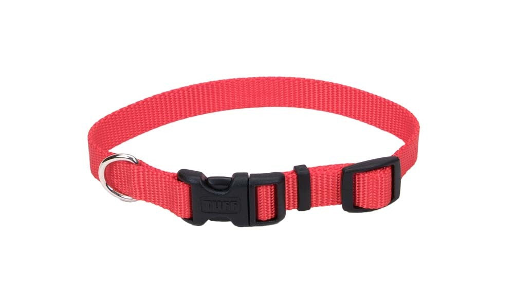 Coastal Adjustable Nylon Dog Collar with Plastic Red 3/4X20in