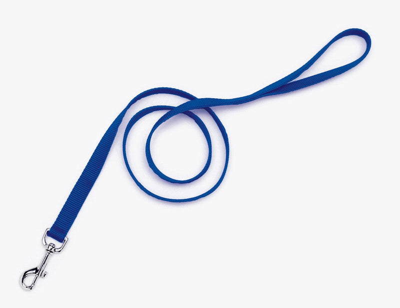 Coastal SinglePly Nylon Dog Leash Blue, 1ea/1 In X 4 ft