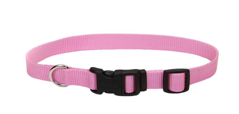 Coastal Adjustable Nylon Dog Collar with Plastic Buckle Bright Pink3/4in