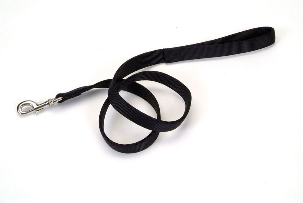 Coastal Double-Ply Nylon Dog Leash Black 1X4ft