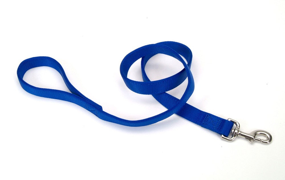 Coastal Double-Ply Nylon Dog Leash Blue 1X4ft
