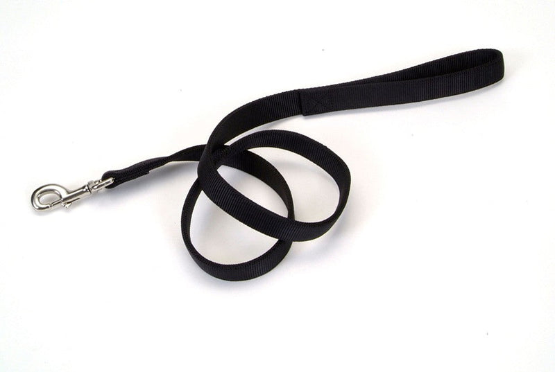 Coastal DoublePly Nylon Dog Leash Black, 1ea/1 In X 6 ft