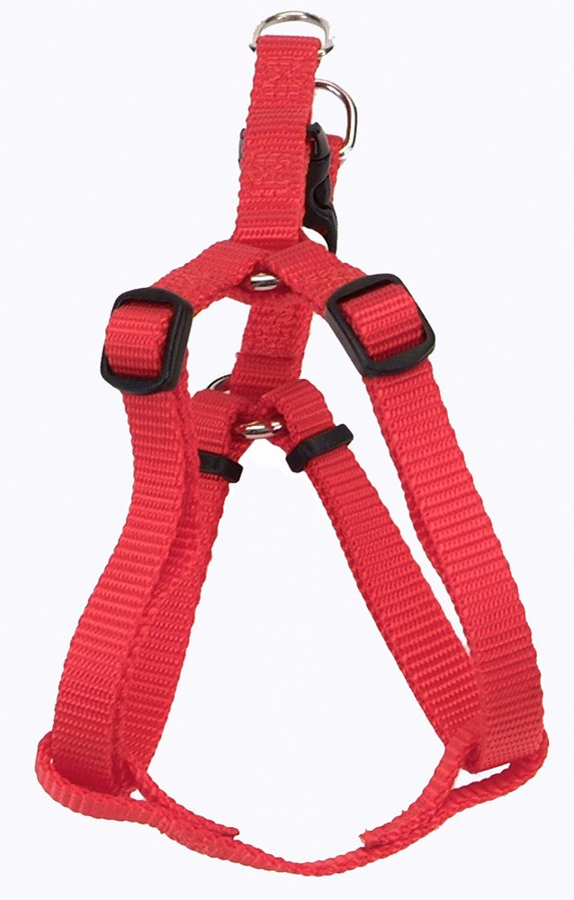 Coastal Comfort Wrap Adjustable Nylon Dog Harness Red 3/4X20-30in