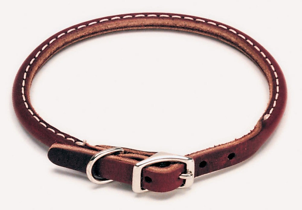 Coastal Circle T Latigo Leather Round Dog Collar 3/8X12in
