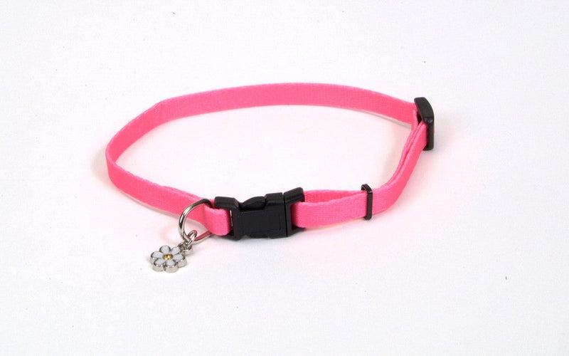 Coastal Li'l Pals Adjustable Nylon Dog Collar Neon Pink 5/16X8-12in