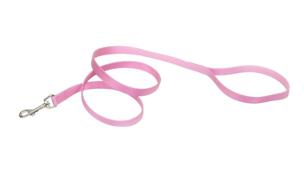 Coastal Single-Ply Nylon Dog Leash Bright Pink 5/8X6ft