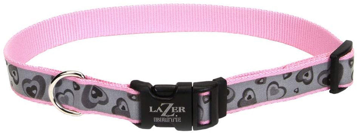 Coastal Lazer Brite Reflective Adjustable Dog Collar Turquoise Bones 5/8X12-18in