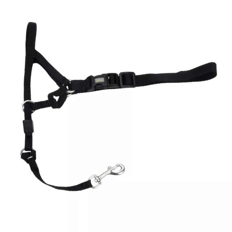 Coastal Walk 'n Train! Dog Head Halter Black Size 3