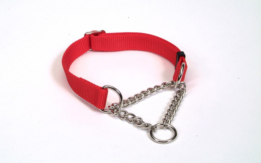 Coastal Adjustable Check Training Dog Collar Red 5/8X10-14in