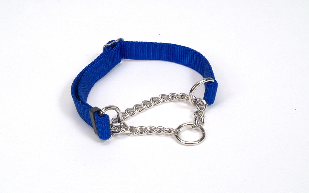Coastal Adjustable Check Training Dog Collar Blue 5/8X10-14in