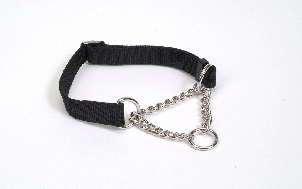 Coastal Adjustable Check Training Dog Collar Black 3/4X14-20in