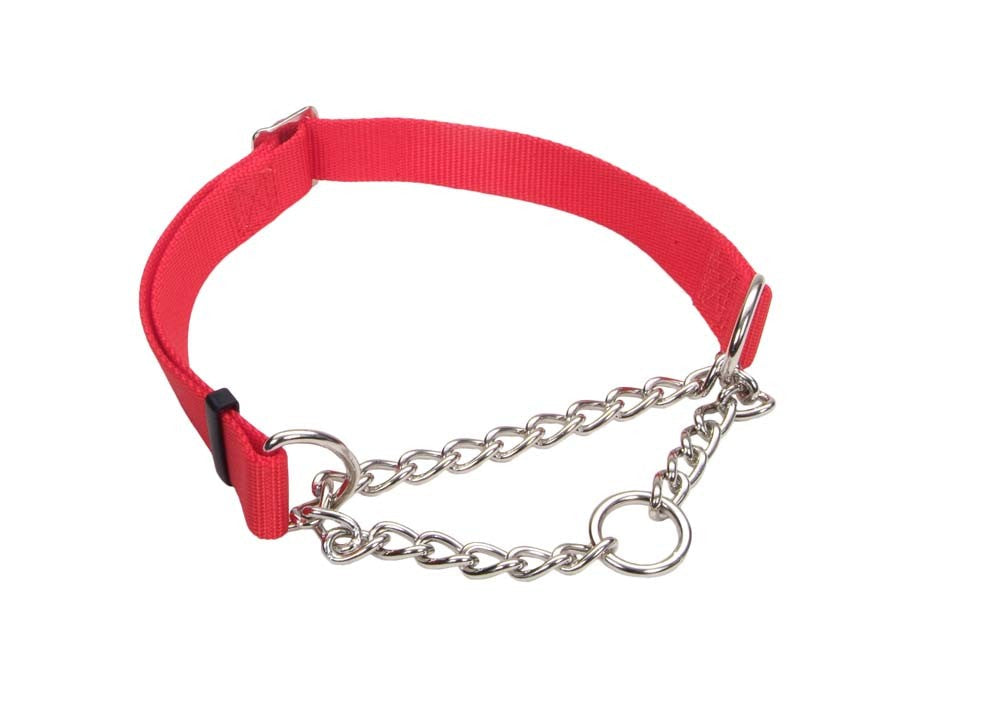 Coastal Adjustable Check Training Dog Collar Red 3/4X14-20in