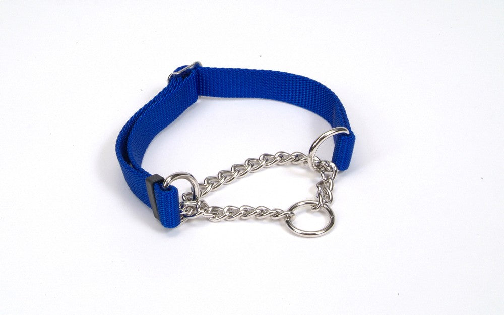 Coastal Adjustable Check Training Dog Collar Blue 3/4X14-20in