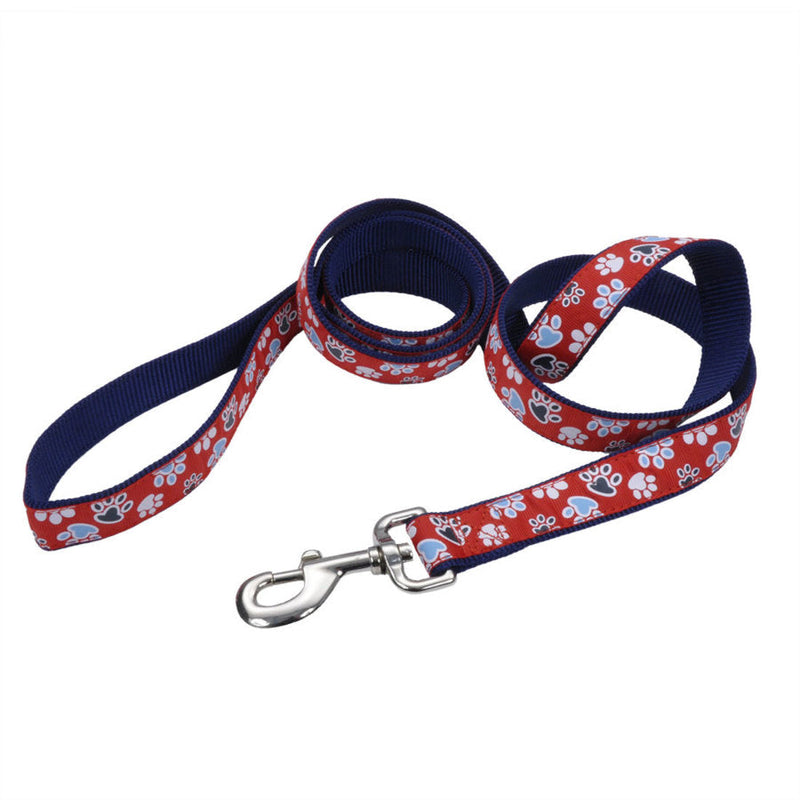 Ribbon Nylon Dog Leash Red, 1ea/1 In X 6 ft