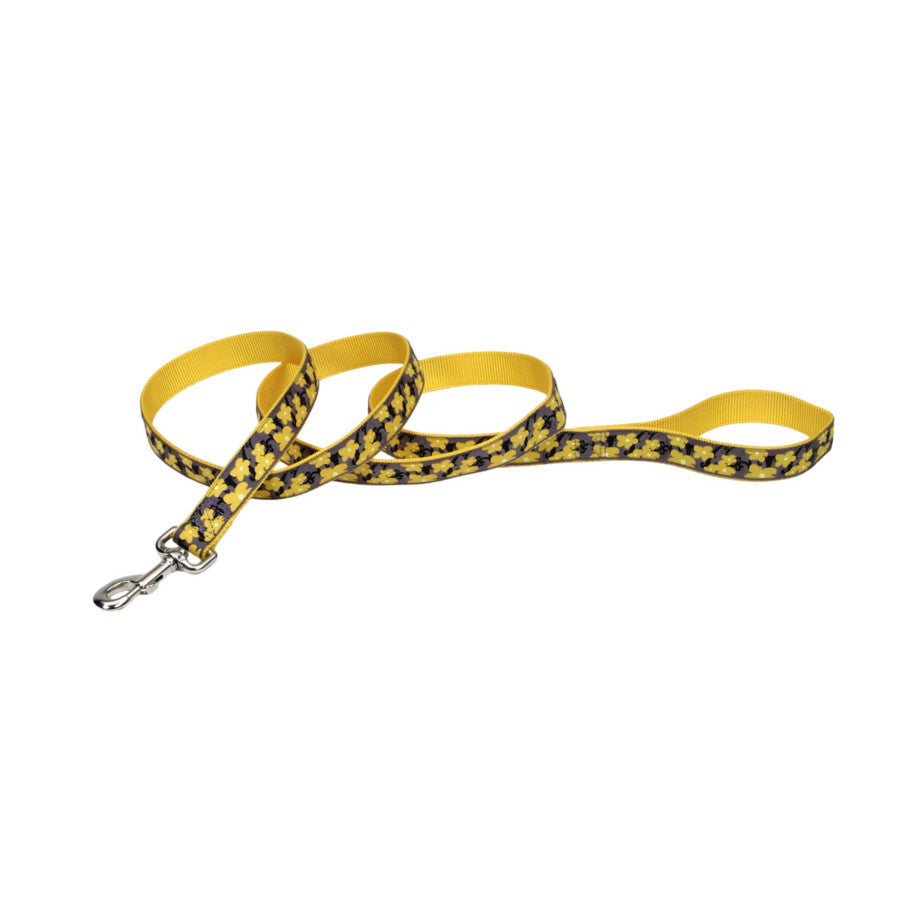 Coastal Ribbon Nylon Leash Yellow Buttercup 1x6ft