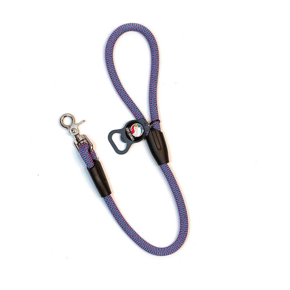 2' Dog Traffic Lead - Pinks/Purples