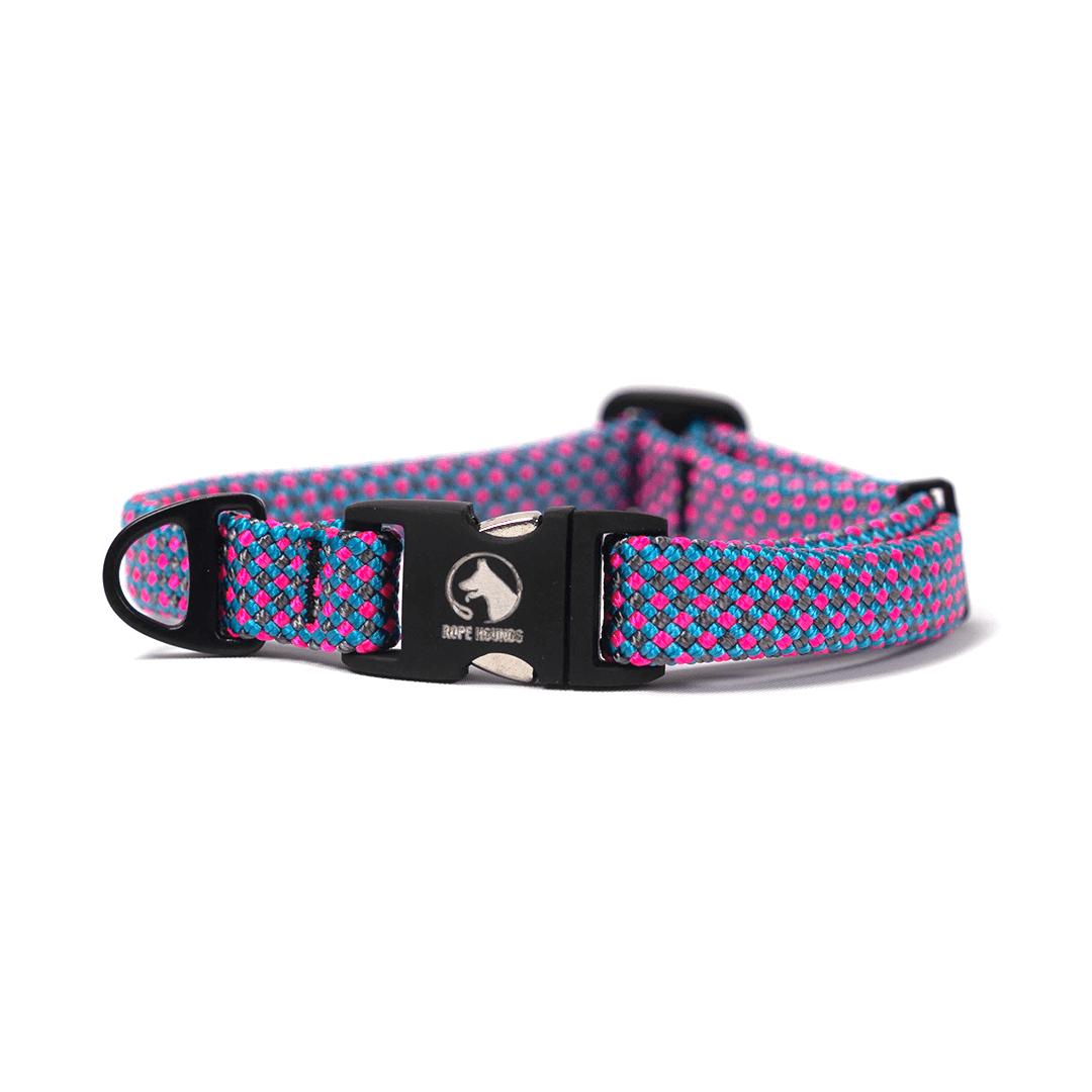 Narrow Adventure Collar