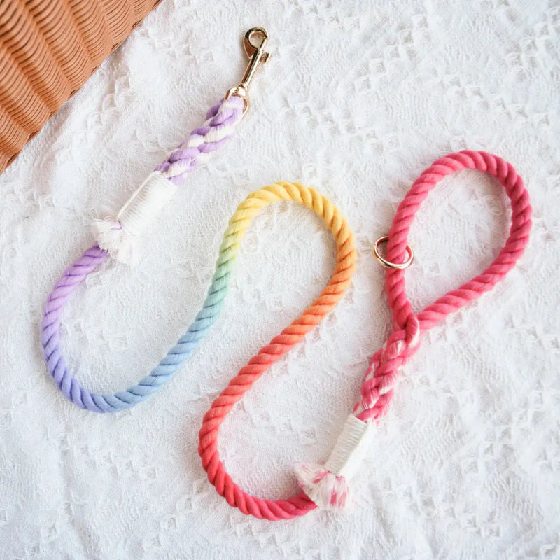 ROPE LEASH - DREAM RAINBOW
