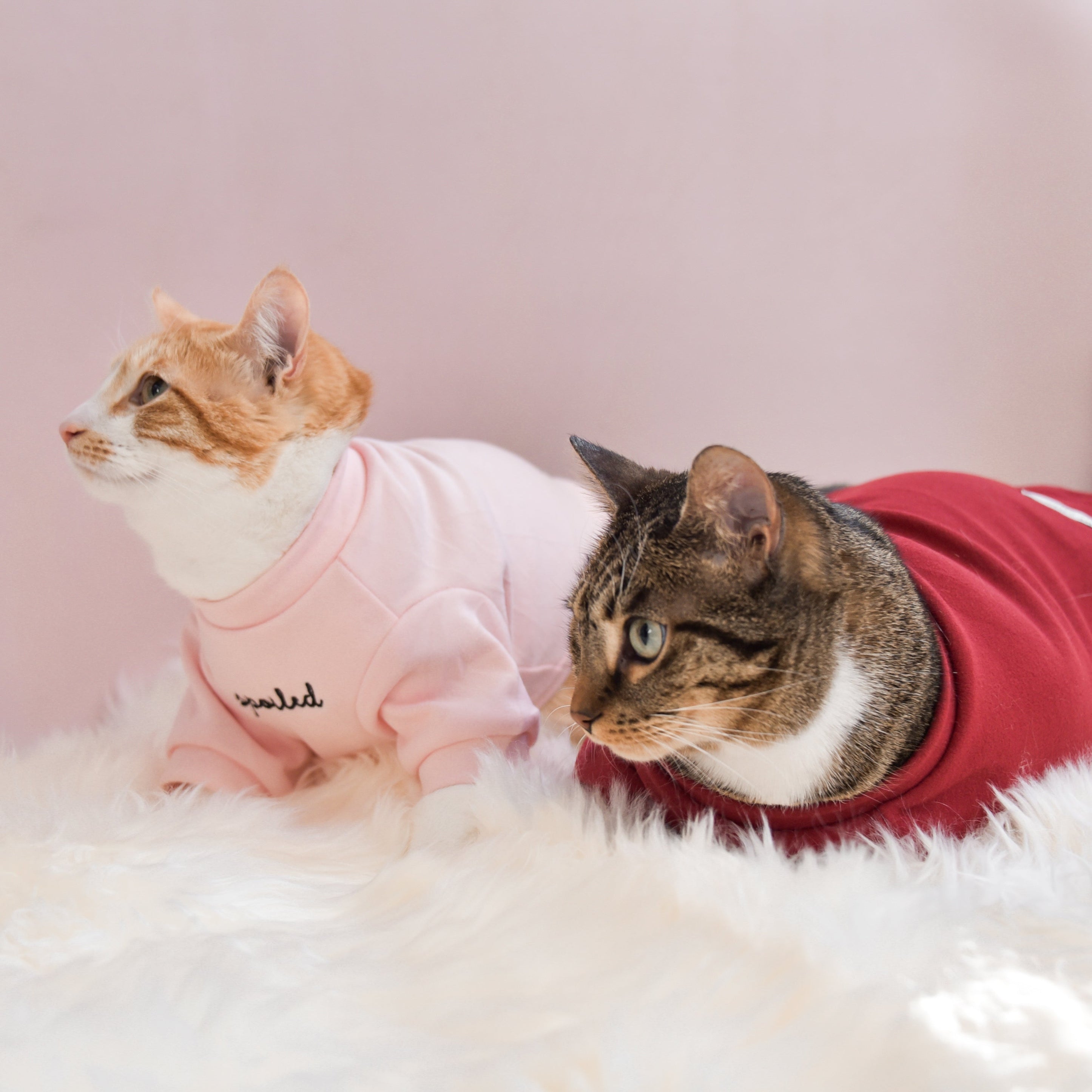 Fur Elise Spoiled Mock Neck Shirt - Blush