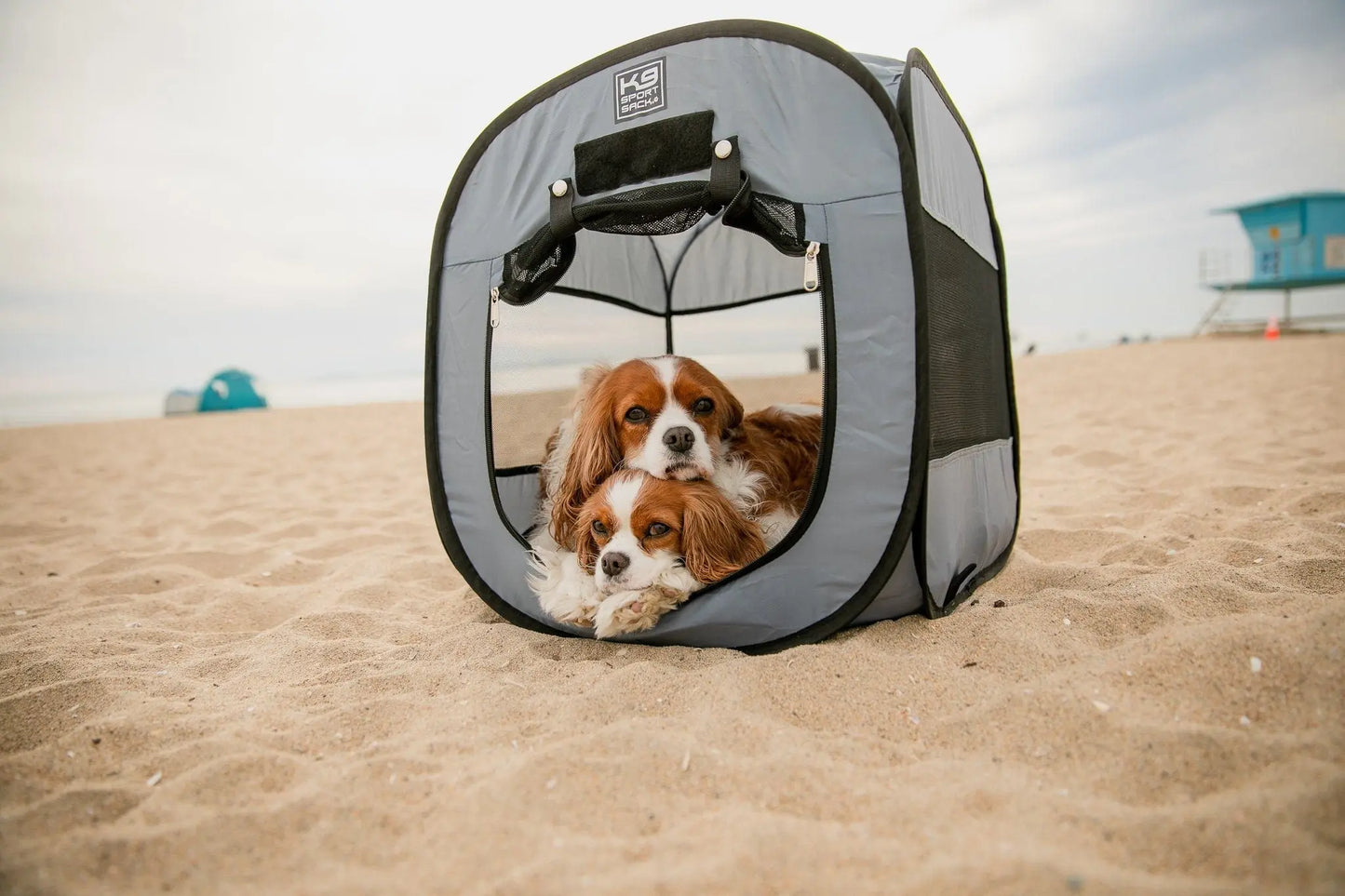 K9 Kennel Pop-Up Dog Tent K9 Sport Sack