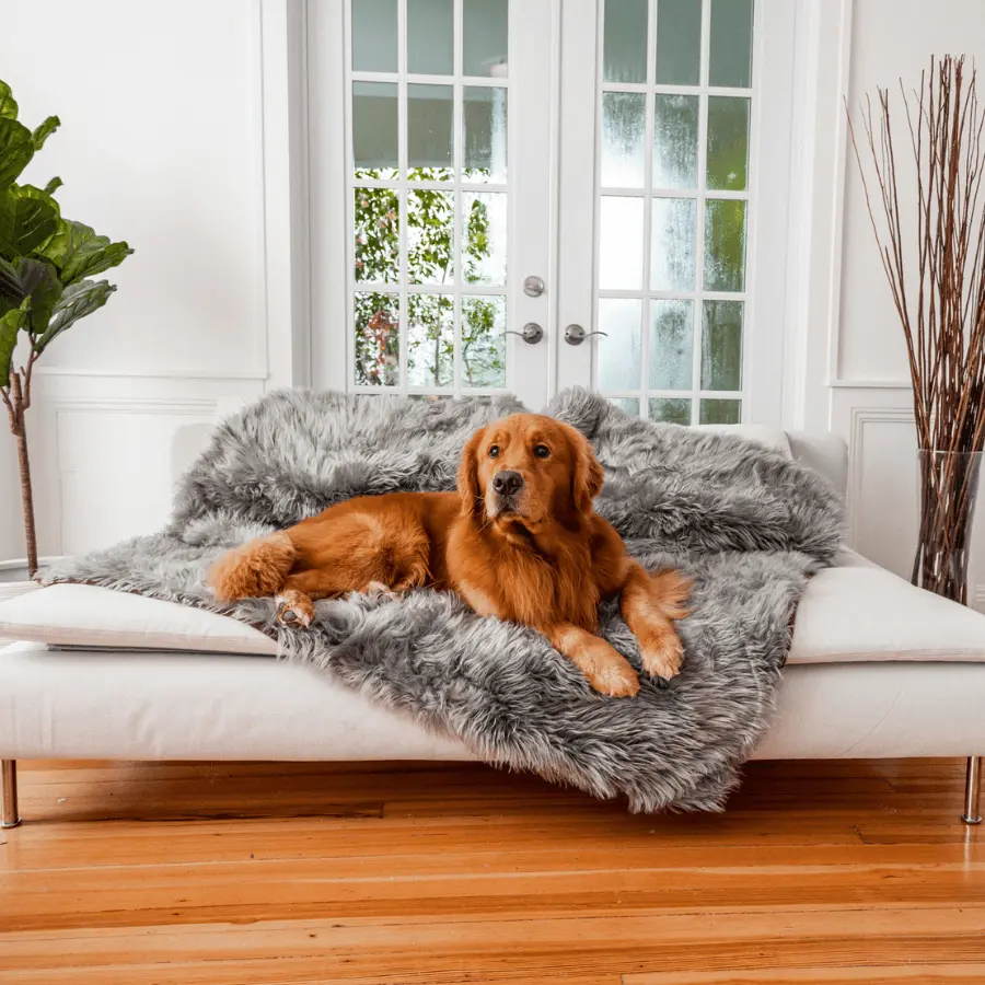 PupProtector™ Waterproof Throw Blanket - Charcoal Grey Paw.com