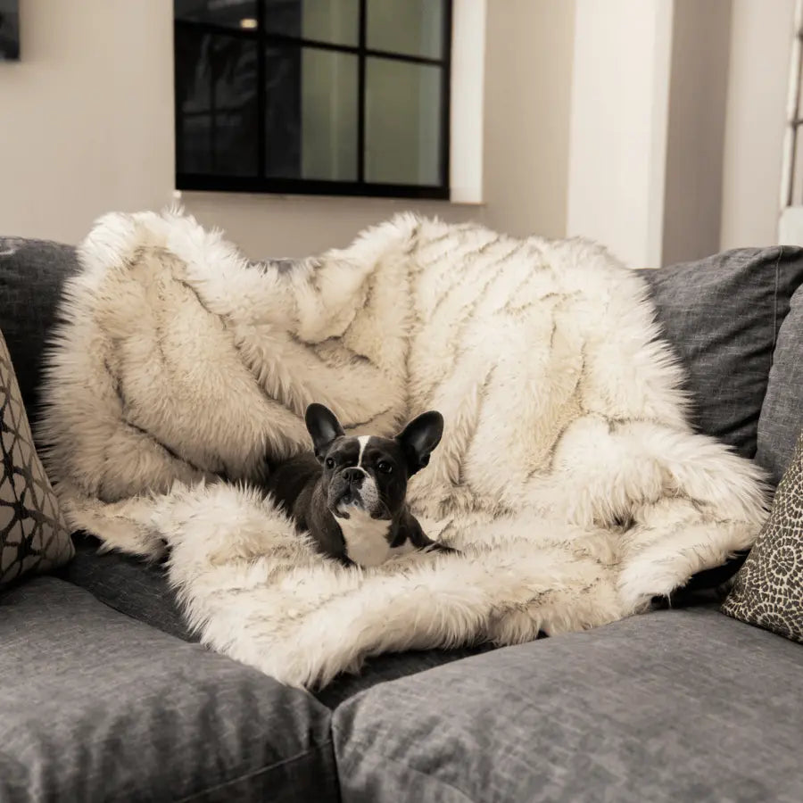 PupProtector™ Waterproof Throw Blanket - White with Brown Accents Paw.com