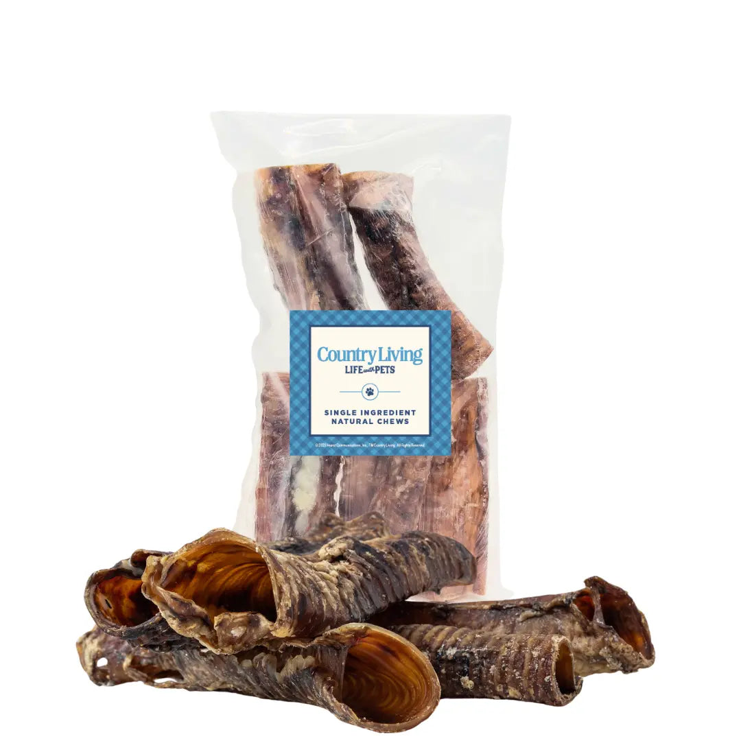 Country Living All-Natural Beef Trachea Dog Treats, Protein-Packed Chews – 6 Inches (5-Pack) American Pet Supplies