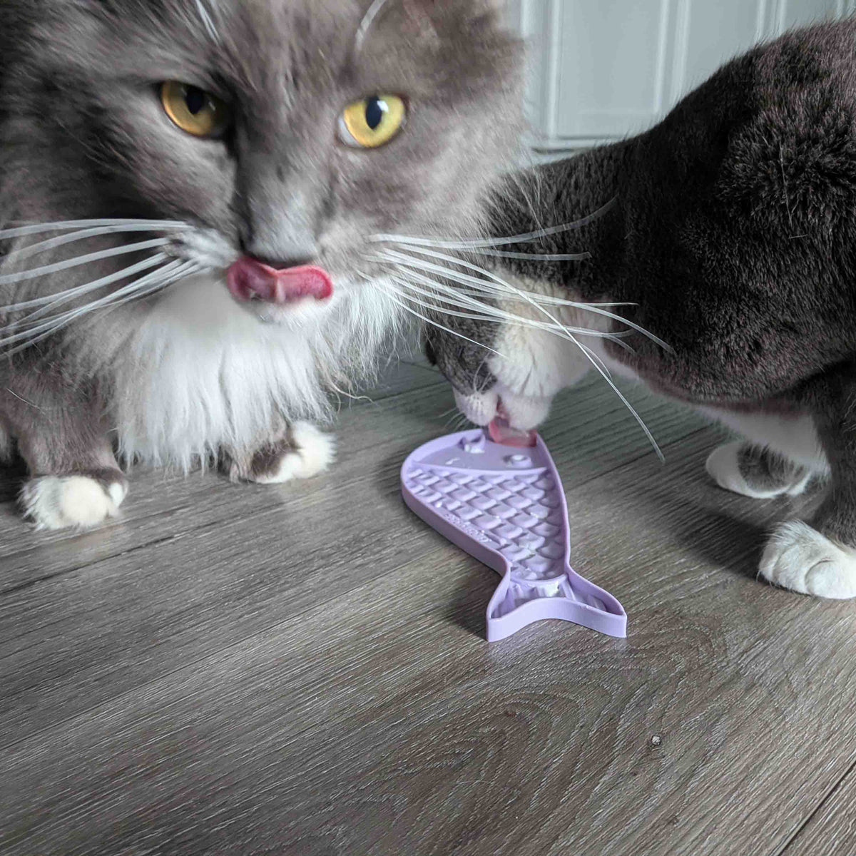 Goldfish emat - Small Enrichment Lick Mat for Cats | SodaPup