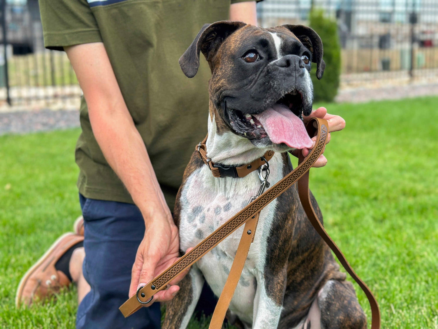 Celtic Sport Earth Brown Leather Dog Leash Euro-Dog Collars and Leads