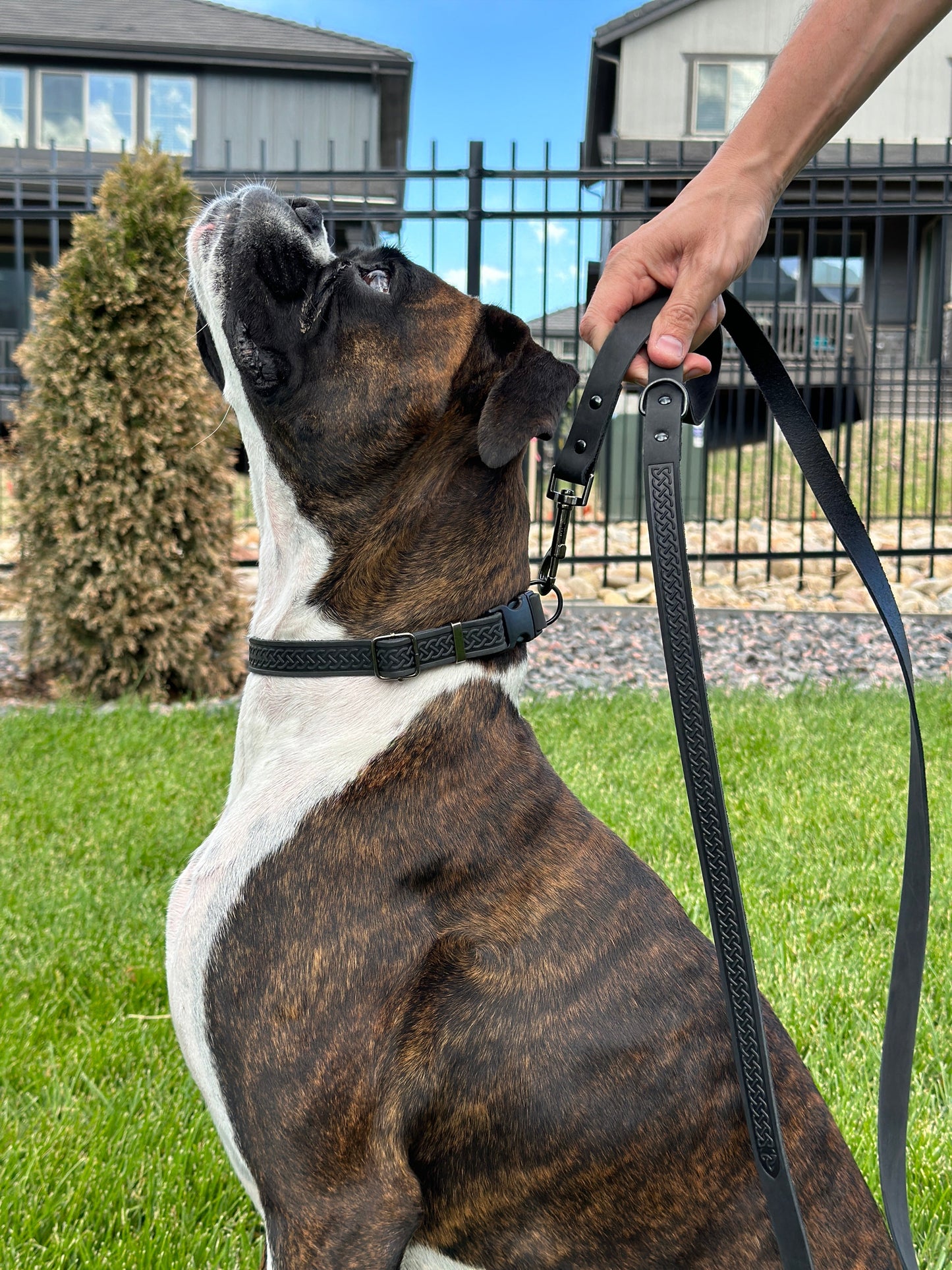 Celtic Sport Midnight Black Leather Dog Leash Euro-Dog Collars and Leads