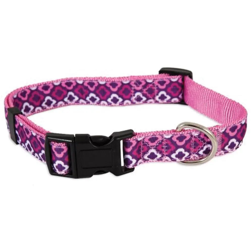 Aspen Pet DOG COLLAR ASPEN PET