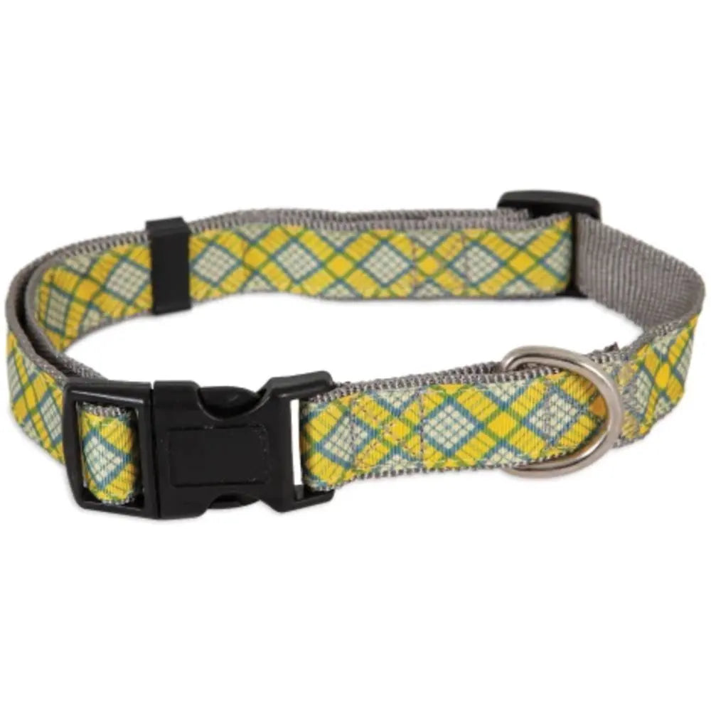 Aspen Pet DOG COLLAR ASPEN PET