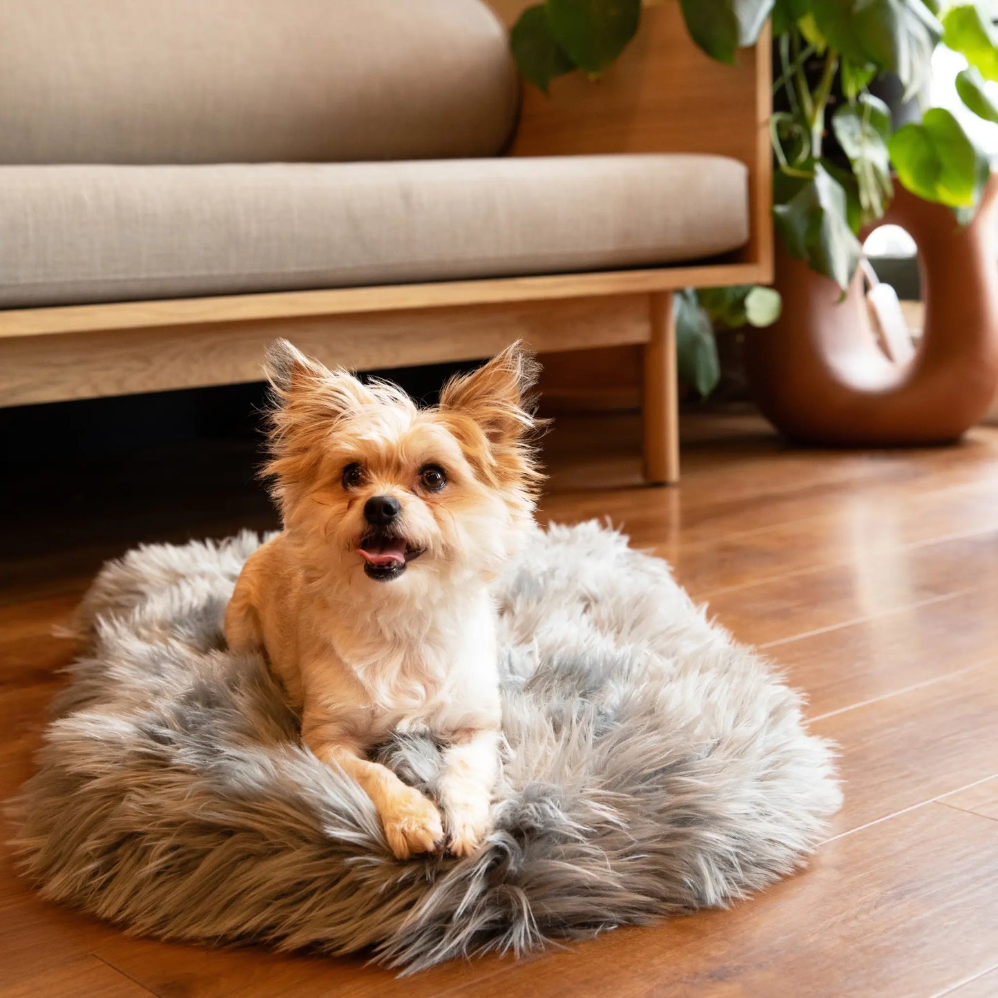 PupRug by Paw.com™ Faux Fur Orthopedic Dog Bed - Curve Charcoal Grey Paw.com