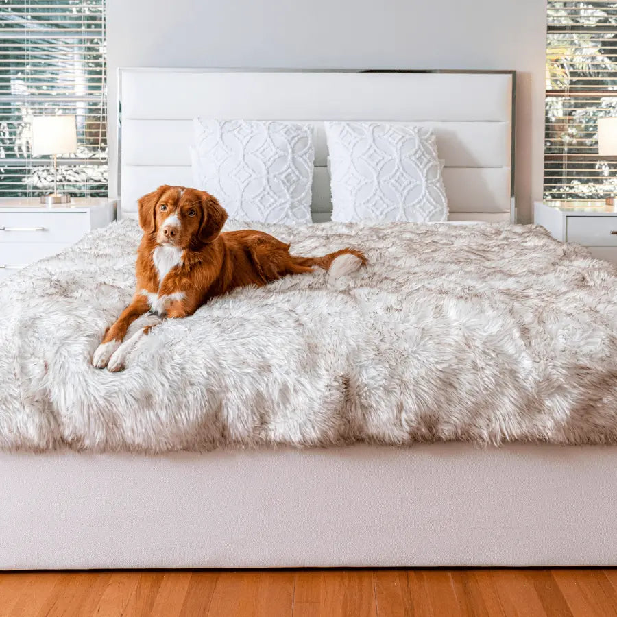 PupProtector™ Waterproof Throw Blanket - White with Brown Accents Paw.com