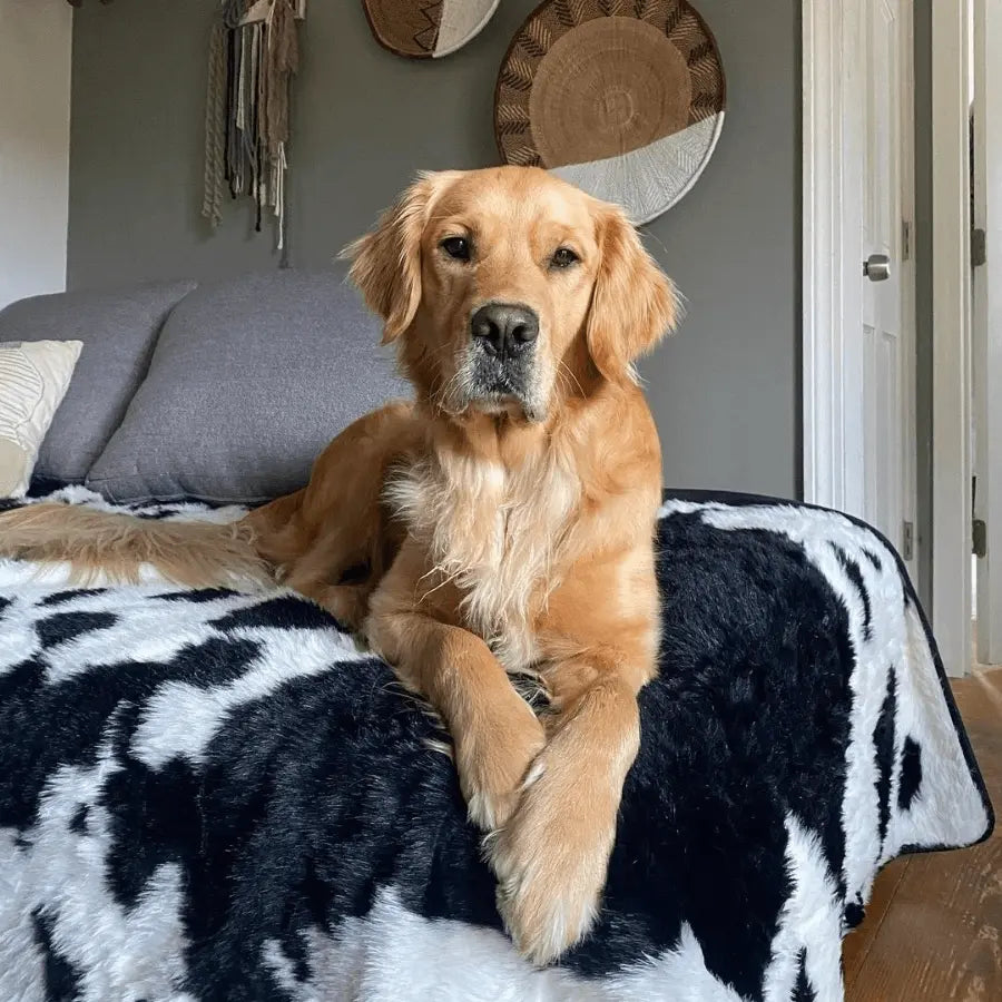 PupProtector™ Waterproof Throw Blanket - Black Faux Cowhide Paw.com