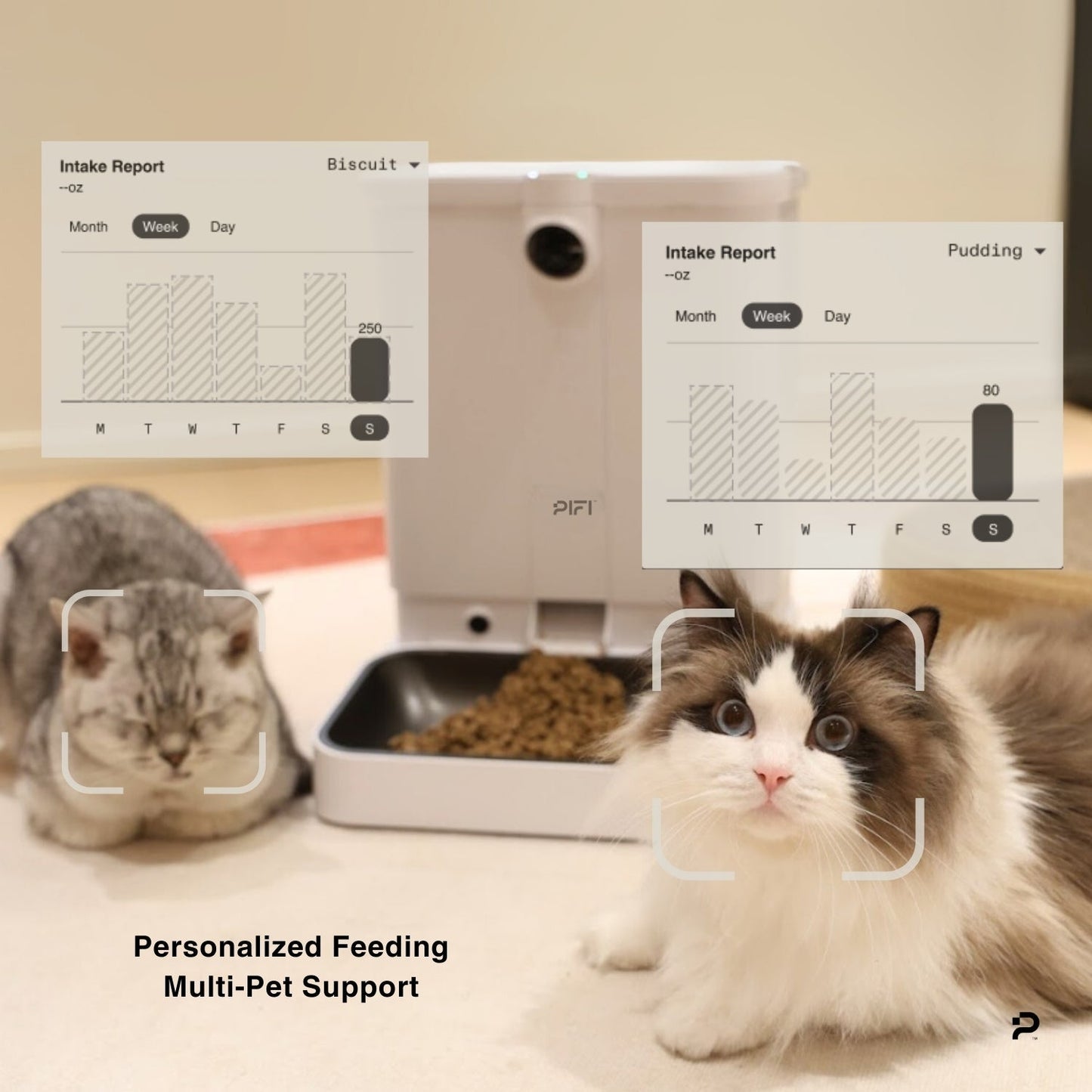 All-in-One Smart Pet Feeder PiFi