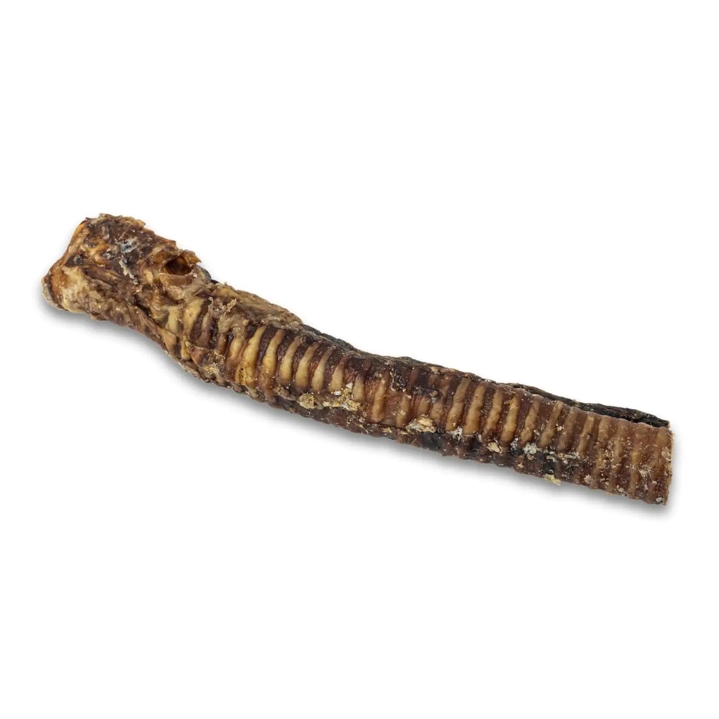 Country Living All-Natural Beef Trachea Dog Treats, Protein-Packed Chews – 12 Inches (5-Pack) American Pet Supplies