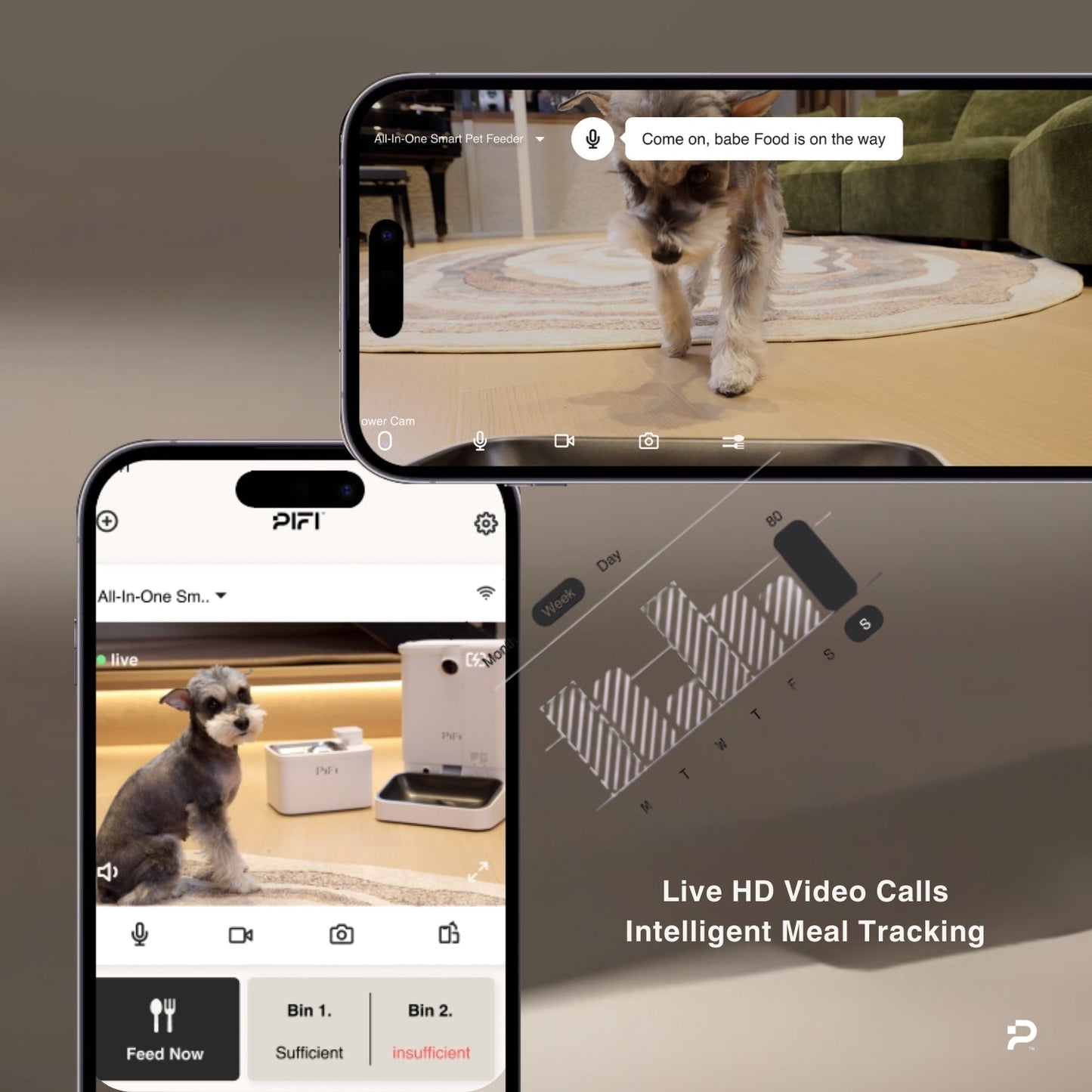 All-in-One Smart Pet Feeder PiFi
