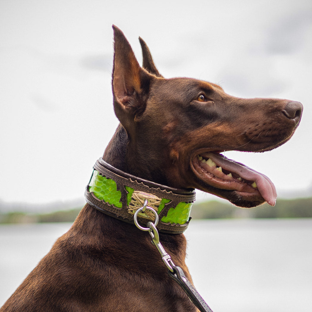 Bestia Venom Leather Dog Collar