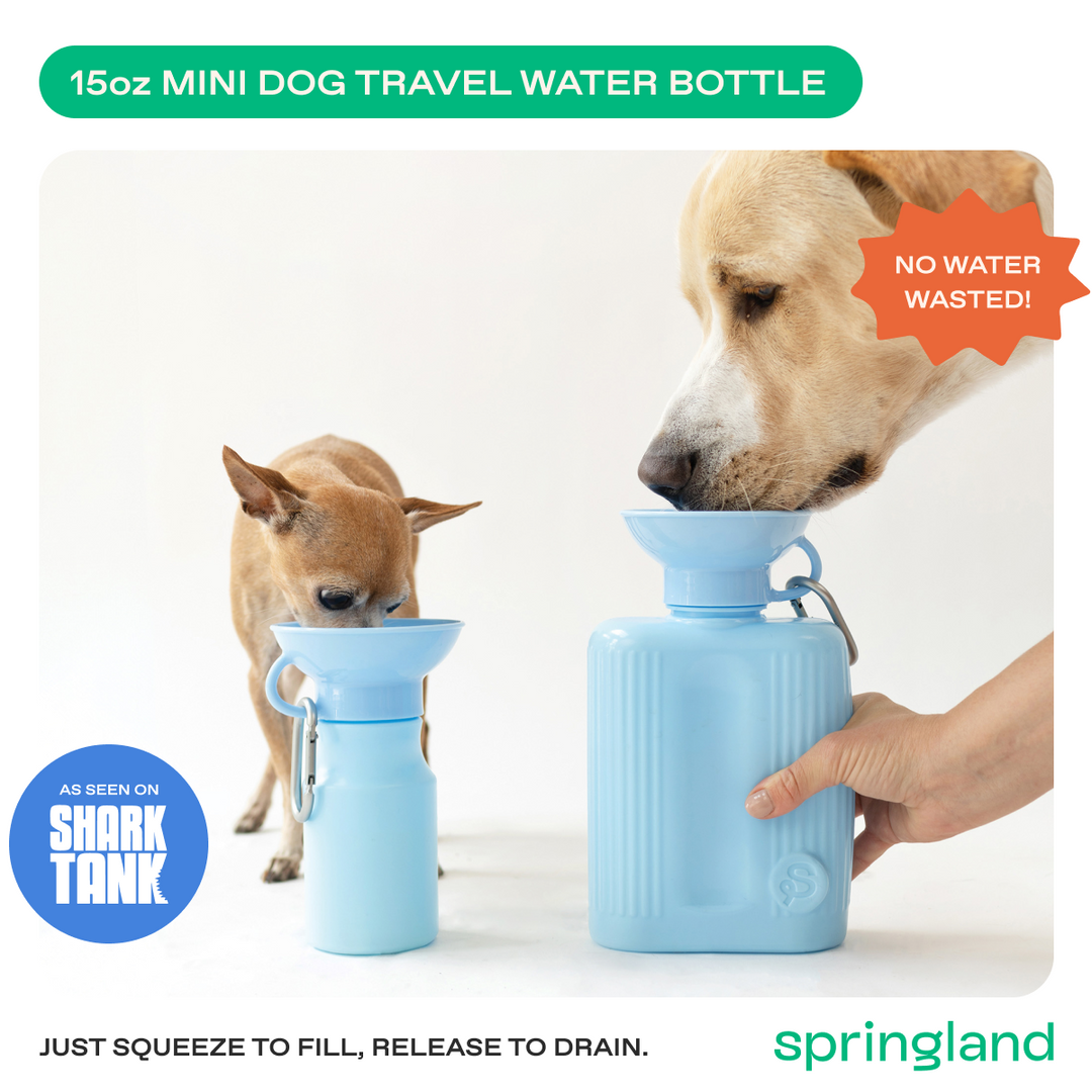15oz Original Travel Dog Water Bottle