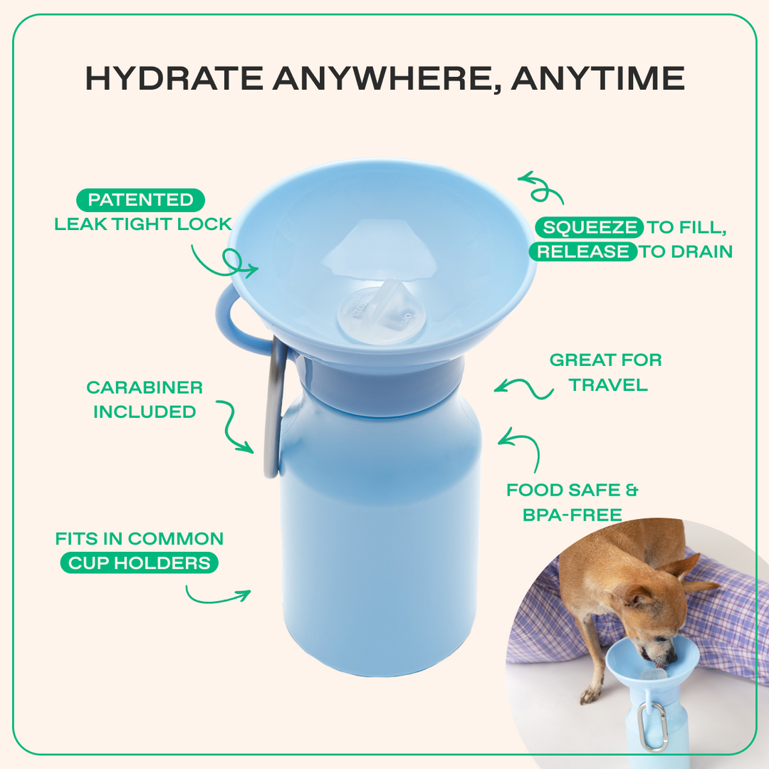 15oz Original Travel Dog Water Bottle