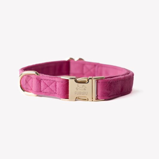 'Magenta' - Velvet Dog Collar FURLOU