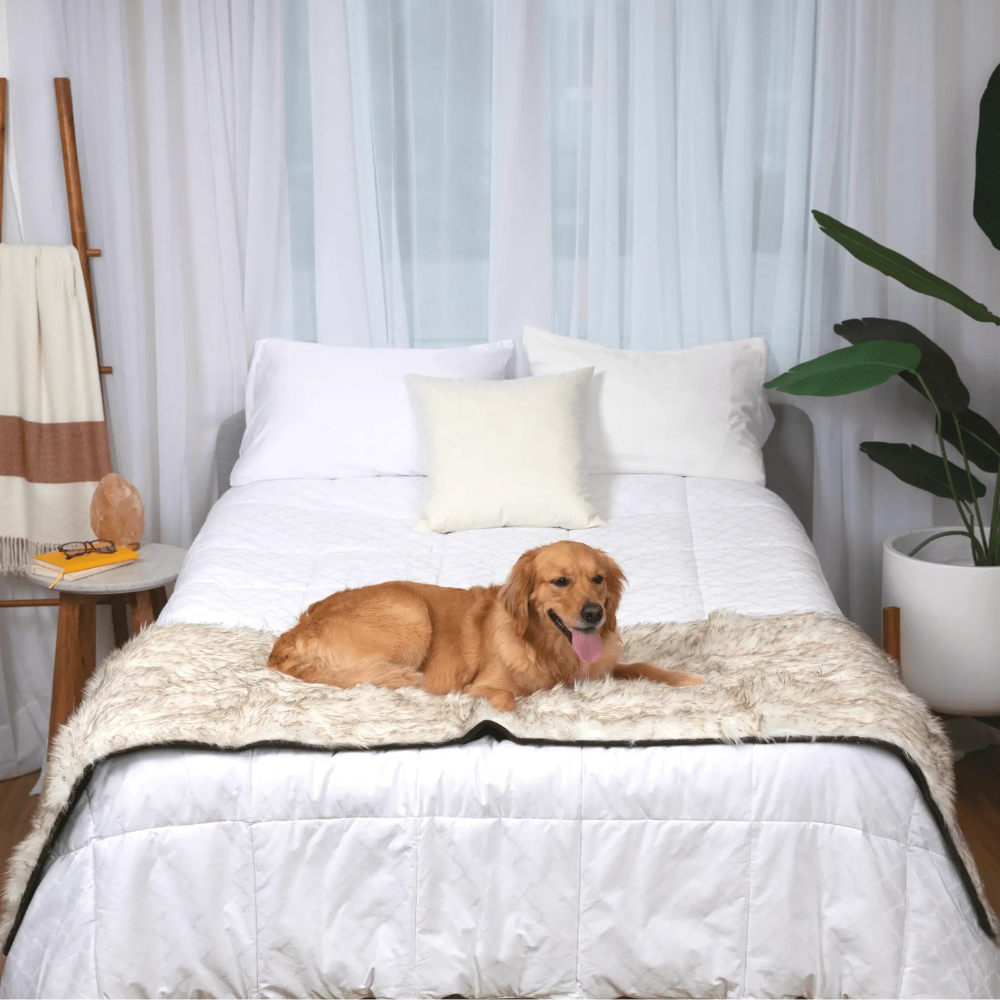 PupProtector™ Waterproof Bed Runner - White with Brown Accents Paw.com
