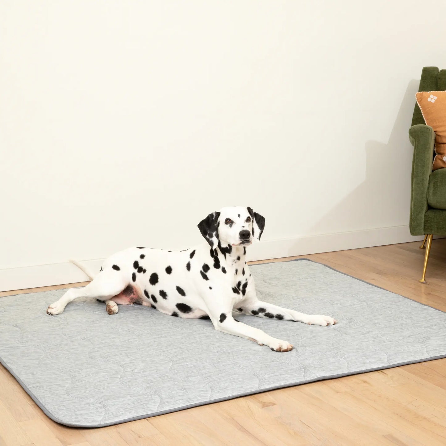 PupChill™ Cooling Waterproof Blanket - Arctic Grey Paw.com