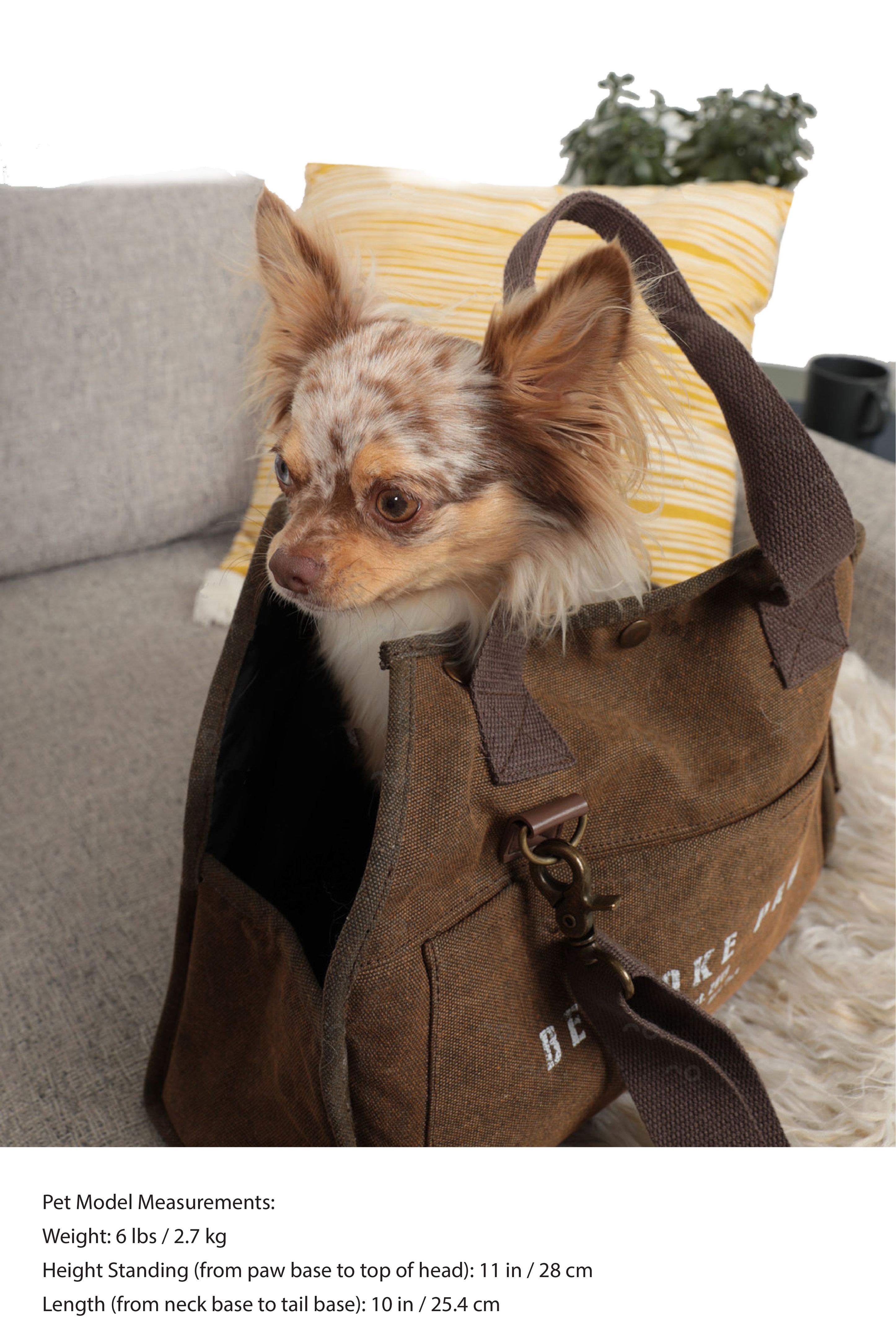 The Daily Carrier—Packable Luxury for Life on the Go by BESPOKE PAWS