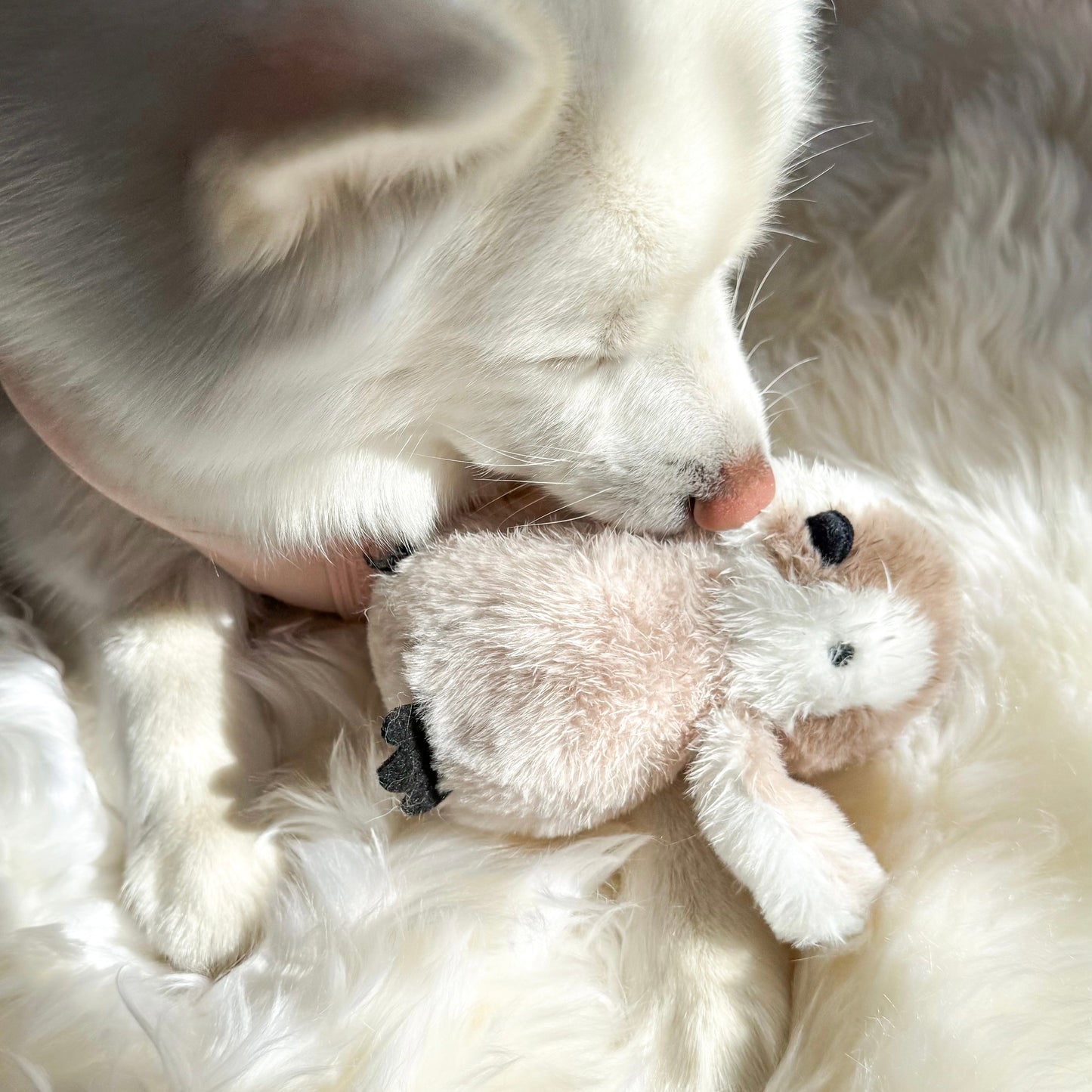 Pegy Mini Plushie Elise Galleria