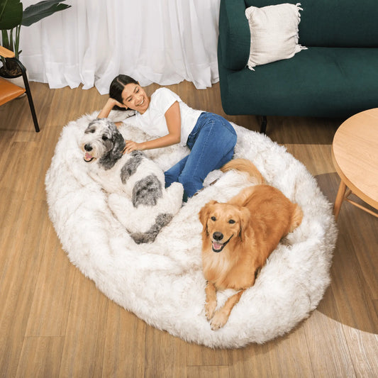 PupCloud™ Human-Size Faux Fur Memory Foam Dog Bed - White with Brown Accents Paw.com