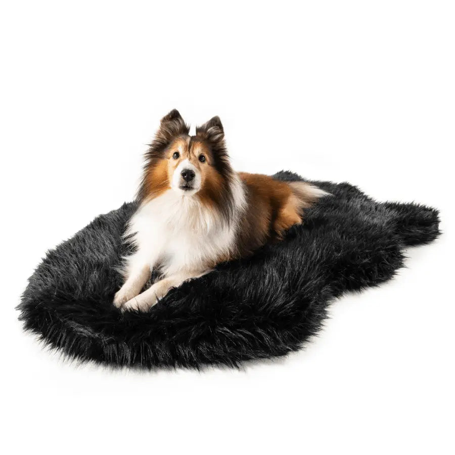 PupRug by Paw.com™ Faux Fur Orthopedic Dog Bed - Curve Midnight Black Paw.com