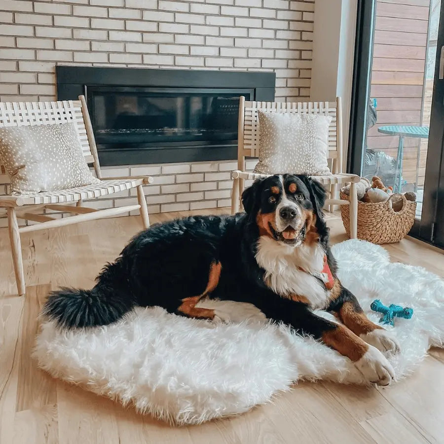 PupRug by Paw.com™ Faux Fur Orthopedic Dog Bed - Curve Polar White Paw.com