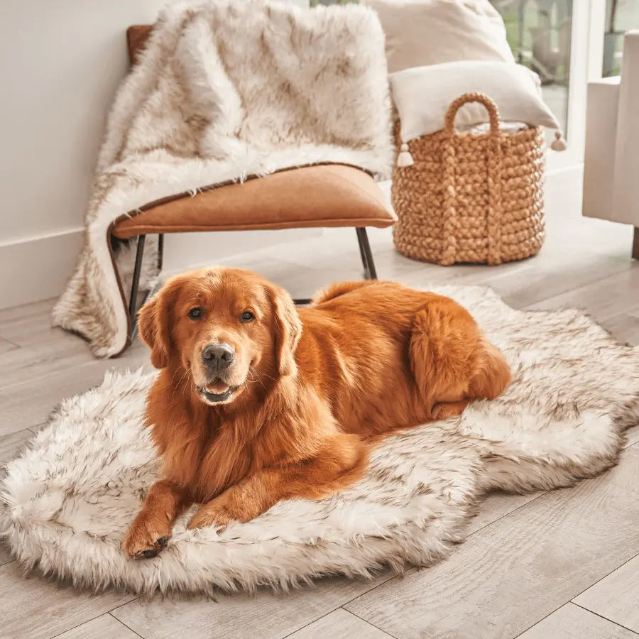 PupRug by Paw.com™ Faux Fur Orthopedic Dog Bed - Curve White with Brown Accents Paw.com